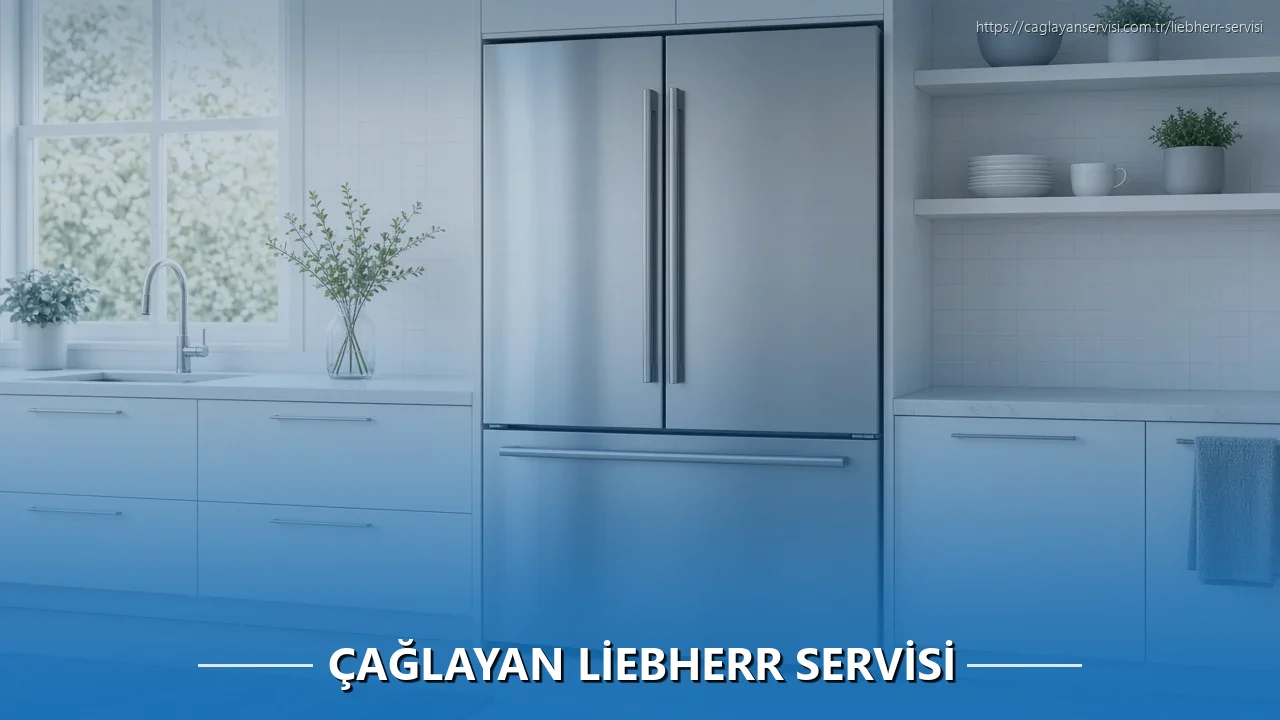 Çağlayan Liebherr Servisi